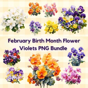 Violetas PNG Paquete / Febrero Mes de Nacimiento Flor Png, Diseños Png para Sublimación, Uso Comercial o Personal