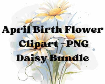 Clipart aquarel madeliefje: boho bloemen png-bundel (digitale download)