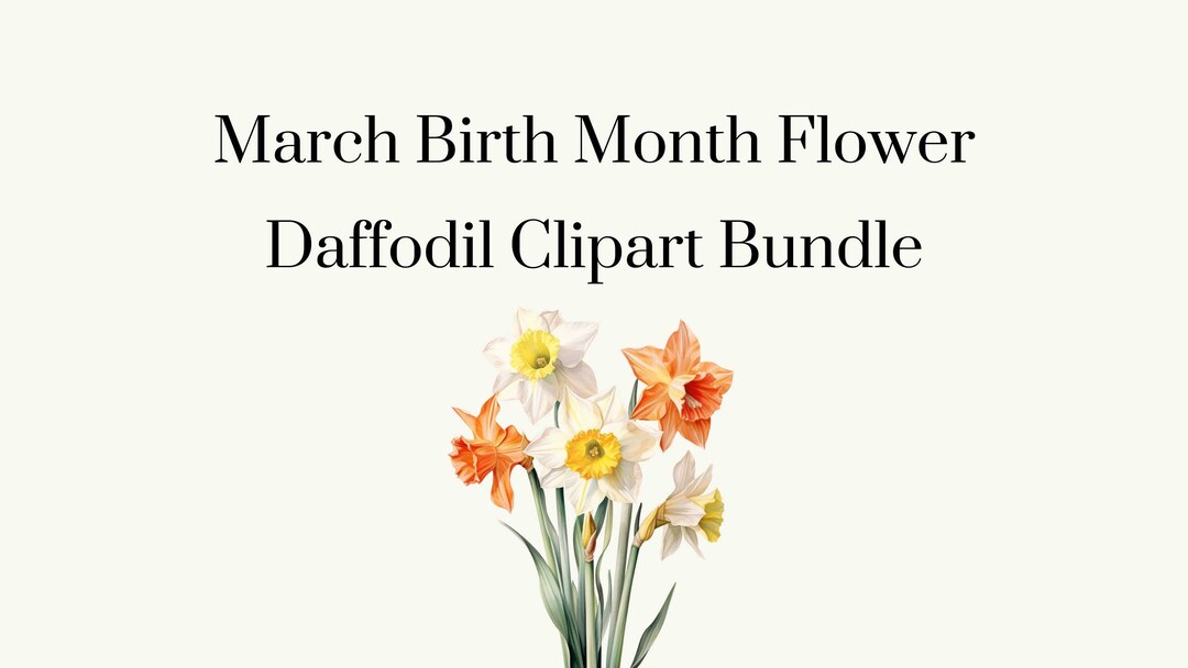 March Birth Month Flower Daffodil PNG File Bundle, Daffodil Clipart