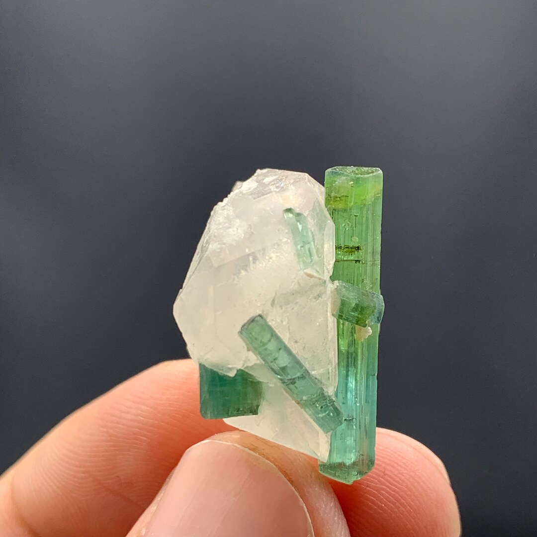 FuraFura2525 ページPt900Green Tourmaline Buy a Fine Aquamarine Crystal Specimen – Fossil Realm