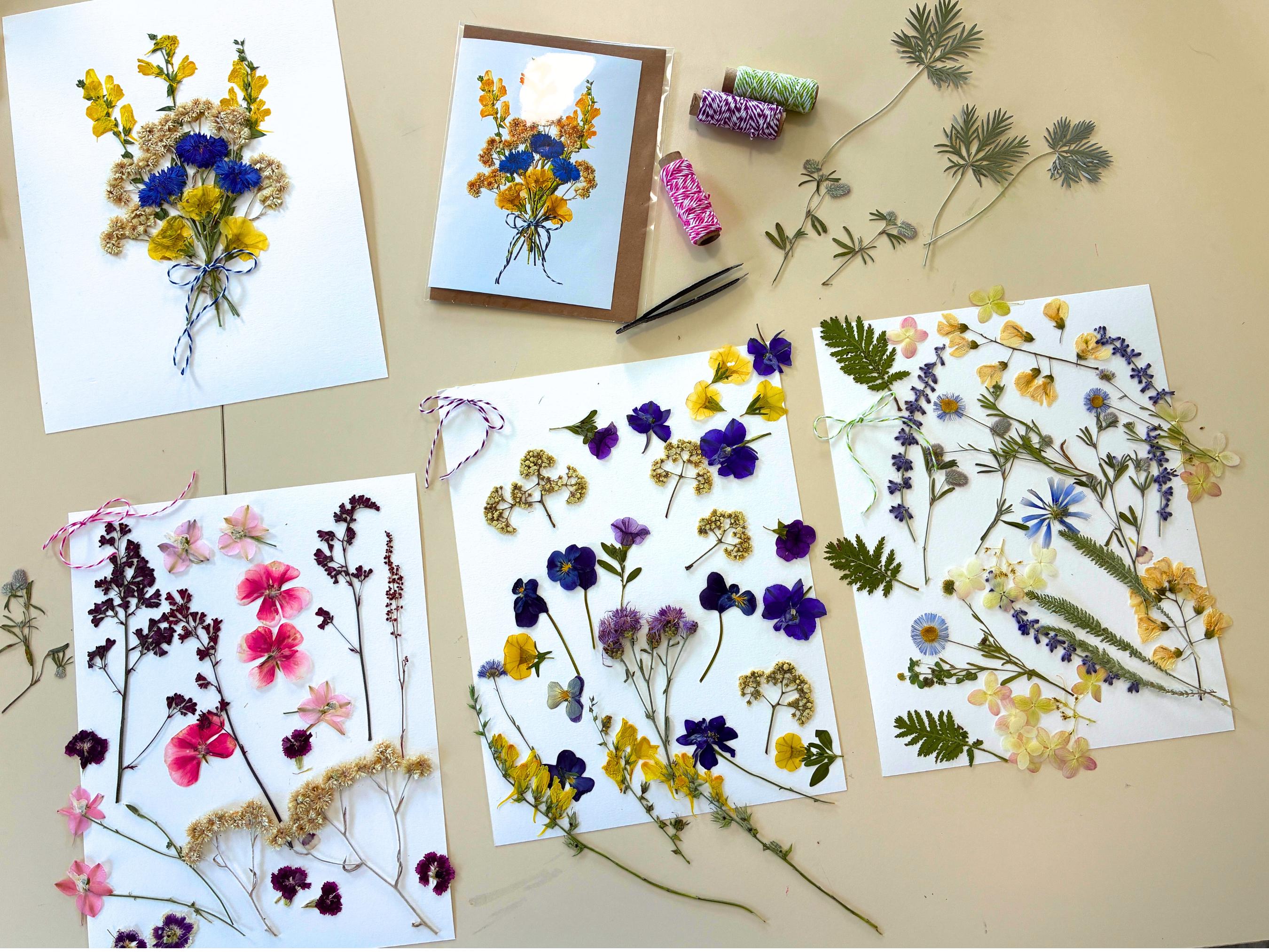 Pressed Flowers Note Cards, 4 Cards in Series. Print Reproductions, 1 ...