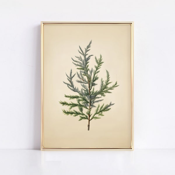 VINTAGE KERST KUNST, Pine Tree Branch Vintage Print, Botanische Winter Kunst, Vakantie Decor, Humeurige Neutrale Vakantie Kunst, Boom Muur Decor, CH8