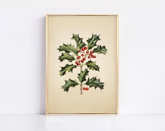May include: A vintage botanical illustration of a holly sprig with green leaves and red berries. The illustration is framed in a gold frame and set against a white background.