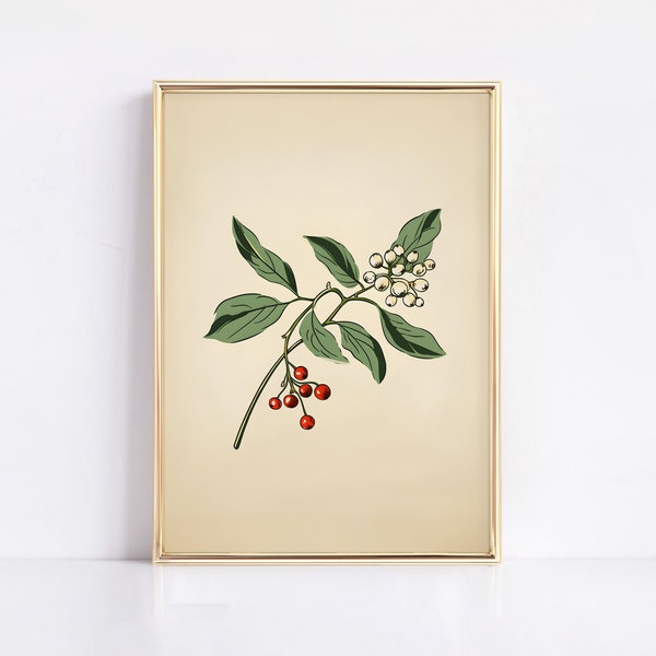 VINTAGE BOTANICAL ART, Holly Branch Vintage Print, Botanical Winter Art, Holiday Decor, Neutral Holiday Art, Holly Berries Wall Decor, CH12