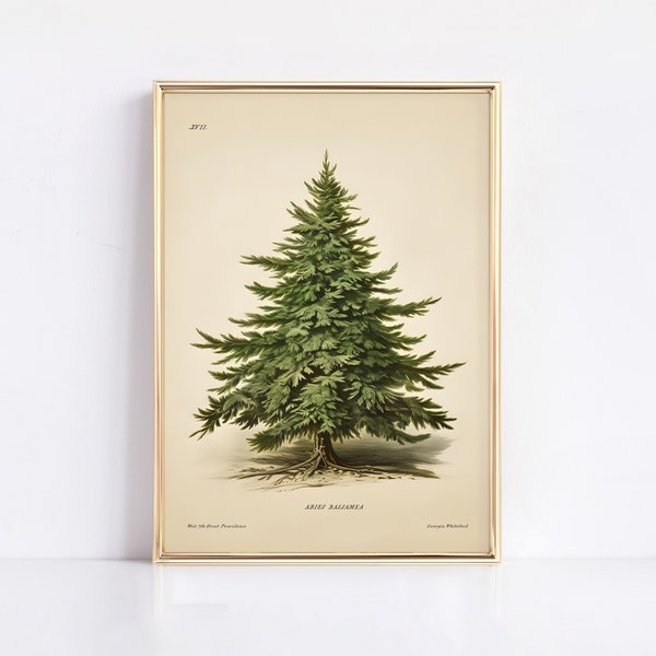 Vintage Pine Tree Print: Botanical Christmas Art (Digital Download)