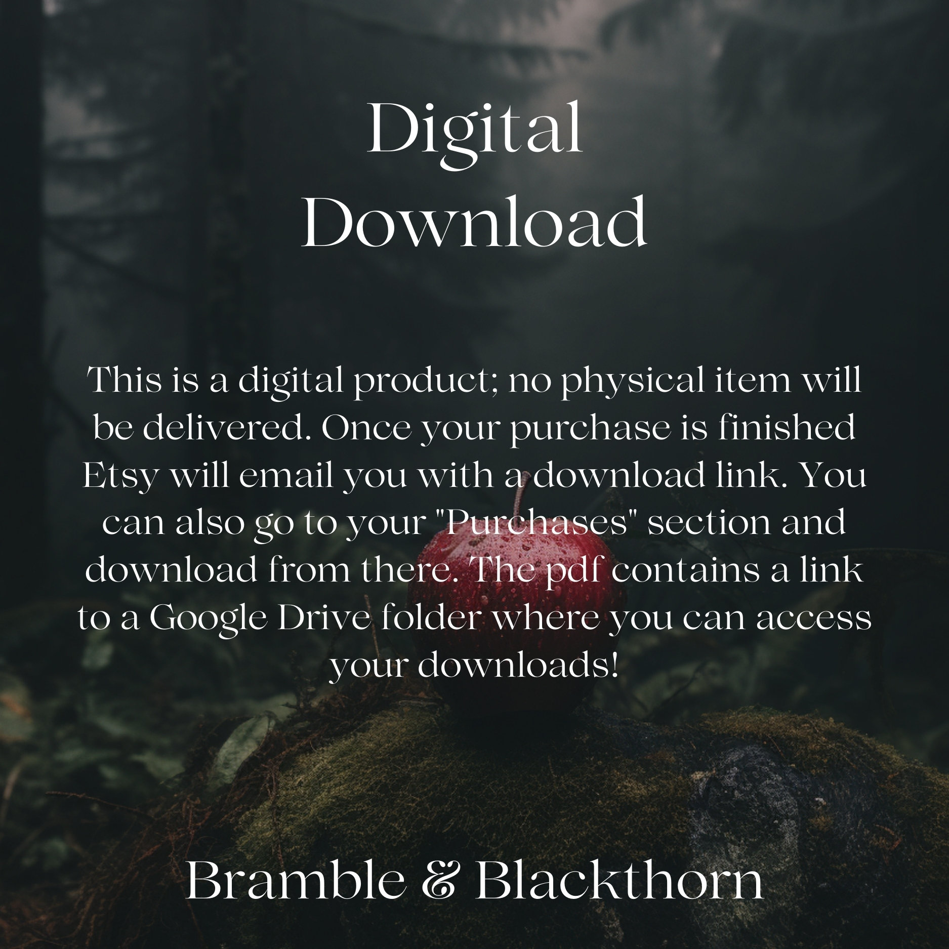 Vintage Travel Poster Set, Printable, PNW Decor, Forks Washington, La