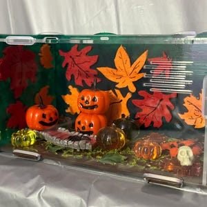 Könnte beinhalten: Eine transparente Plastikbox mit grünem Hintergrund und Herbstblättern. In der Box befinden sich mehrere orangefarbene und schwarze Jack-o'-Lantern-Kürbisse, gelber Mais und ein weißer Schädel.