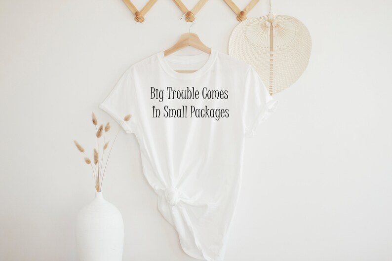 Big Trouble Comes In Small Packages Gildan ultra-cotton, feminine flattering, cute t-shirt Feminine Shirt Petite Graphic text tee image 1