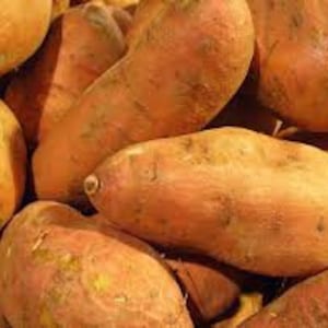 May include: A close-up of a pile of sweet potatoes, with a reddish-brown skin and a slightly rough texture.