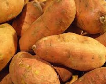 Tropical Sweet Potatoes