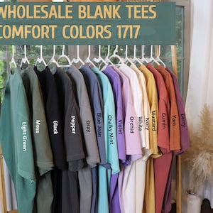 Comfort Colors® Blank Shirt, Comfort Colors Tee, Blank T-Shirt, Comfort Colors T-Shirt, 1717, Boho Style Shirt, Trendy Vintage Style, Unisex