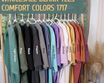 Comfort Colors® Blank Shirt, Comfort Colors Tee, Blank T-Shirt, Comfort Colors T-Shirt, 1717, Boho Style Shirt, Trendy Vintage Style, Unisex