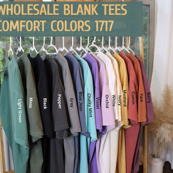 Comfort Colors® Blank Shirt, Comfort Colors Tee, Blank T-Shirt, Comfort Colors T-Shirt, 1717, Boho Style Shirt, Trendy Vintage Style, Unisex