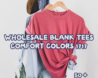 Camisa en blanco Comfort Colors®, camiseta Comfort Colors, camiseta en blanco, camiseta Comfort Colors, 1717, camisa estilo Boho, estilo vintage de moda, unisex