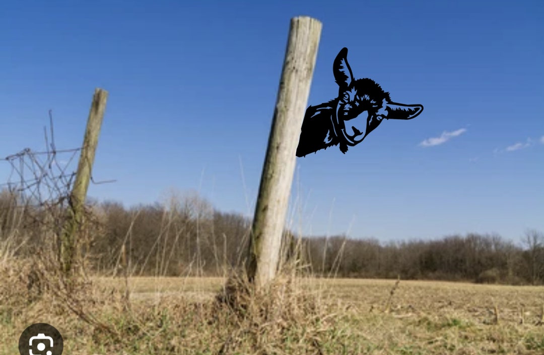 Metal Peeping Goat Wall Art Décor for Outdoor Garden Fence or Etsy