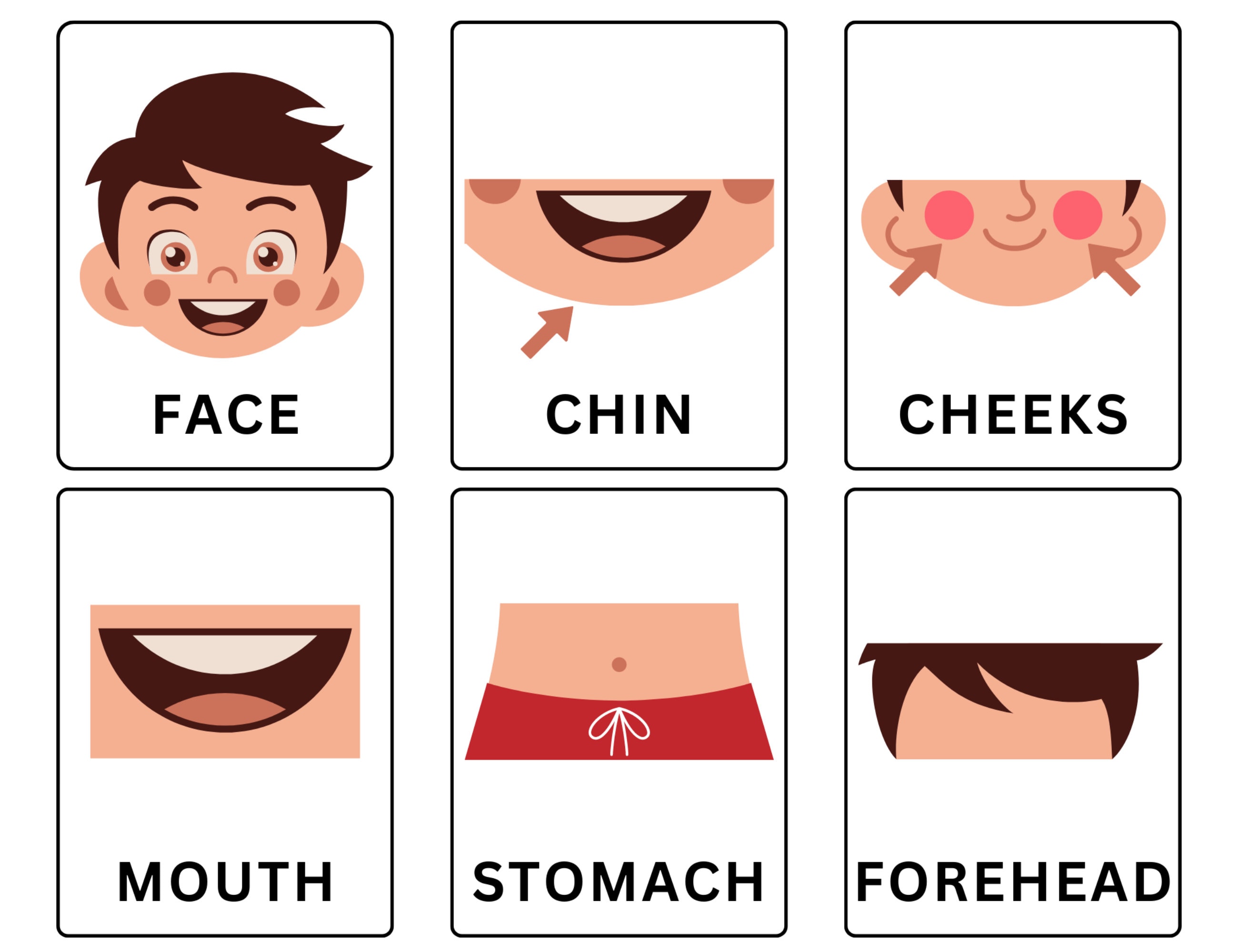 Body Parts Flashcards, Human Anatomy, Montessori, Preschool, Homeschool ...