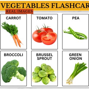 Verduras, Real, Verduras, Flashcards, Montessori, Escuela, Aula, Cocina, Niños, Preescolar, PDF, Digital, Aprendizaje, Guardería