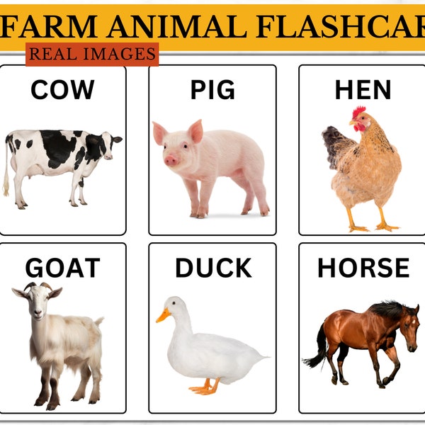 Farm Animals, Real, Flashcards, Pictures, Montessori, Back to School, Educational, Classroom, Nursery, Preschool, Cutouts, School, Daycare