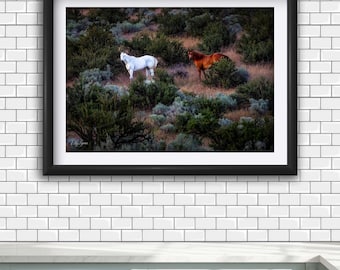 Wild Horse Photography Print: Rustic Western Landscape Art