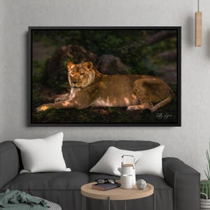 Decoración de pared con estampado de león / Arte fotográfico de vida salvaje / Bellas artes en lienzo sobre la naturaleza / Póster de animales / Decoración de pared para sala de estar / Arte de viajes por África