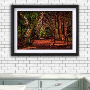 May include: A framed landscape photograph depicting a dense forest scene with tall trees, pink flowering bushes, and a small bench in the distance. The ground is covered in fallen leaves and scattered branches, framed by a thick black border.