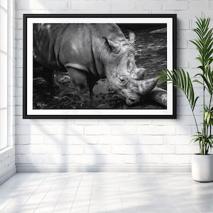 Animal Decor Rhino Print, Black and White Wildlife Photography, Africa Art Safari Wall Decor for Home Living Room Nursery