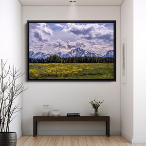 Grand Tetons | Flowery Meadow | Print | Canvas | Metal | Acrylic