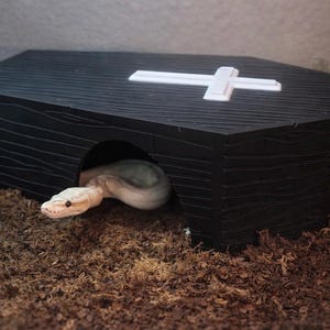 Coffin Reptile Hide XL l snake hide, ball python hide, reptile accessories, corn snake hide, large snake hide