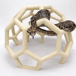 Python Playground EVEREST - Snake climbing enrichment, giant snake jungle gym, volta ball python, jungle carpet python