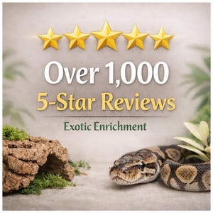 Python Playground Medium l Snake Climbing Enrichment , snake enrichment , reptile climbing, snake tank decor, snake jungle gym image 16
