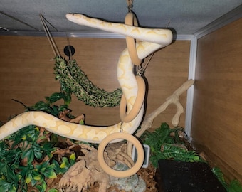 Snake Enrichment Climbing Rings - ball python, corn snake, rat snake, snake climbing toy, snake enclosure decor