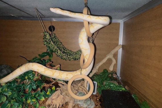 Snake Enrichment Climbing Rings - ball python, corn snake, rat snake, snake climbing toy, snake enclosure decor