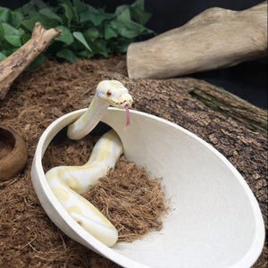 Burrow Buddy Snake Hide - Large Size I Ball Python Hide, Hide for Larger Snakes image 5