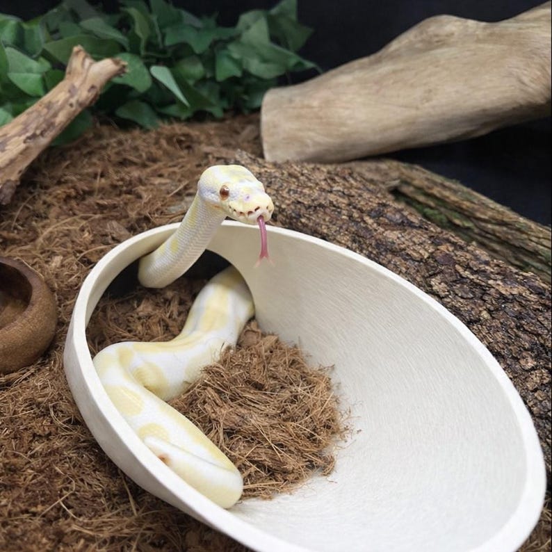 Burrow Buddy Snake Hide - Large Size I Ball Python Hide, Hide for Larger Snakes image 5