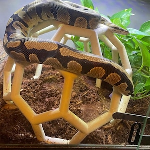 Python Playground EPIC Snake Climbing Enrichment, enriquecimiento para pitones bola adultas, gimnasio de jungla de serpientes grande imagen 4