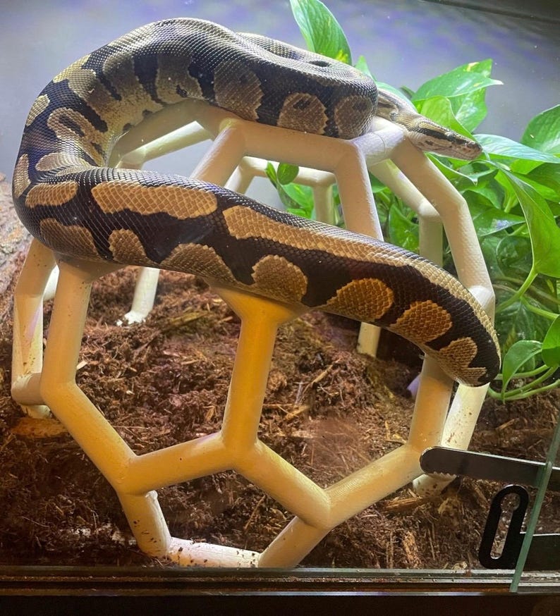 Python Playground EPIC Snake Climbing Enrichment, enriquecimiento para pitones bola adultas, gimnasio de jungla de serpientes grande imagen 4