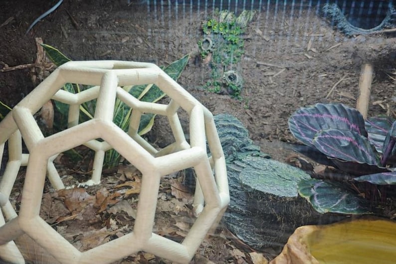 Python Playground EPIC Snake Climbing Enrichment, enriquecimiento para pitones bola adultas, gimnasio de jungla de serpientes grande imagen 7