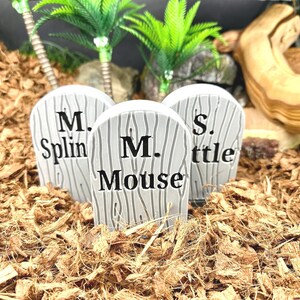 Snake Enclosure Graves l snake tank decor, snake enrichment, spooky snake, terrarium decor, ball python accesories image 2