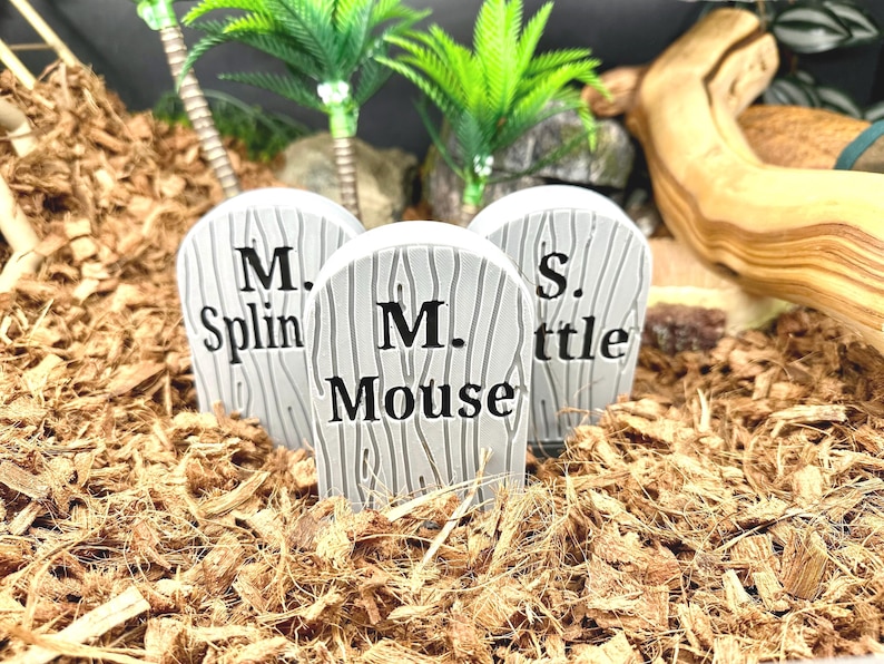 Snake Enclosure Graves l snake tank decor, snake enrichment, spooky snake, terrarium decor, ball python accesories image 2