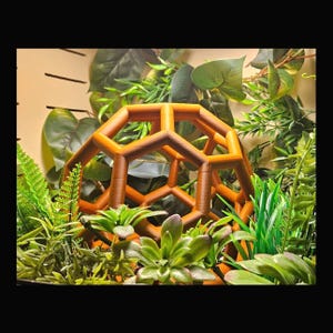 Python Playground Medium l Snake Climbing Enrichment , snake enrichment , reptile climbing, snake tank decor, snake jungle gym image 2