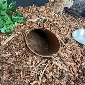 Burrow Buddy Snake Hide - Large Size I Ball Python Hide, Hide for Larger Snakes image 6