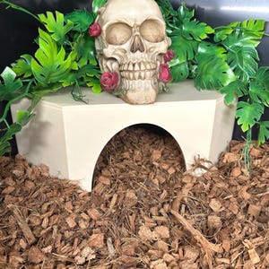 Reptile Corner Hide l snake hide