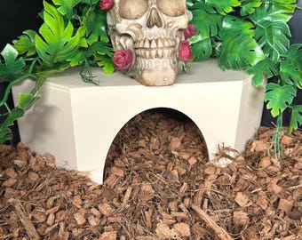 Reptile Corner Hide l snake hide