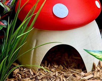 Mushroom Reptile Hide l snake hide , reptile hide , snake enrichment , reptile accesories