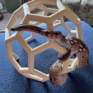 Python Playground EPIC Snake Climbing Enrichment, enriquecimiento para pitones bola adultas, gimnasio de jungla de serpientes grande imagen 3