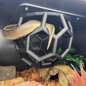 Python Playground Medium l Snake Climbing Enrichment , snake enrichment , reptile climbing, snake tank decor, snake jungle gym image 5