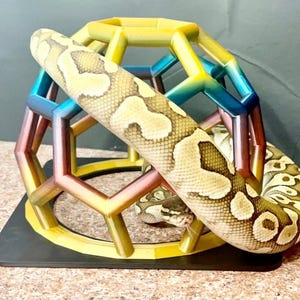 Party Python Playground STANDARD l Snake climbing enrichment for ball pythons, corn snakes, and reptiles, terrarium decor, snake jungle gym