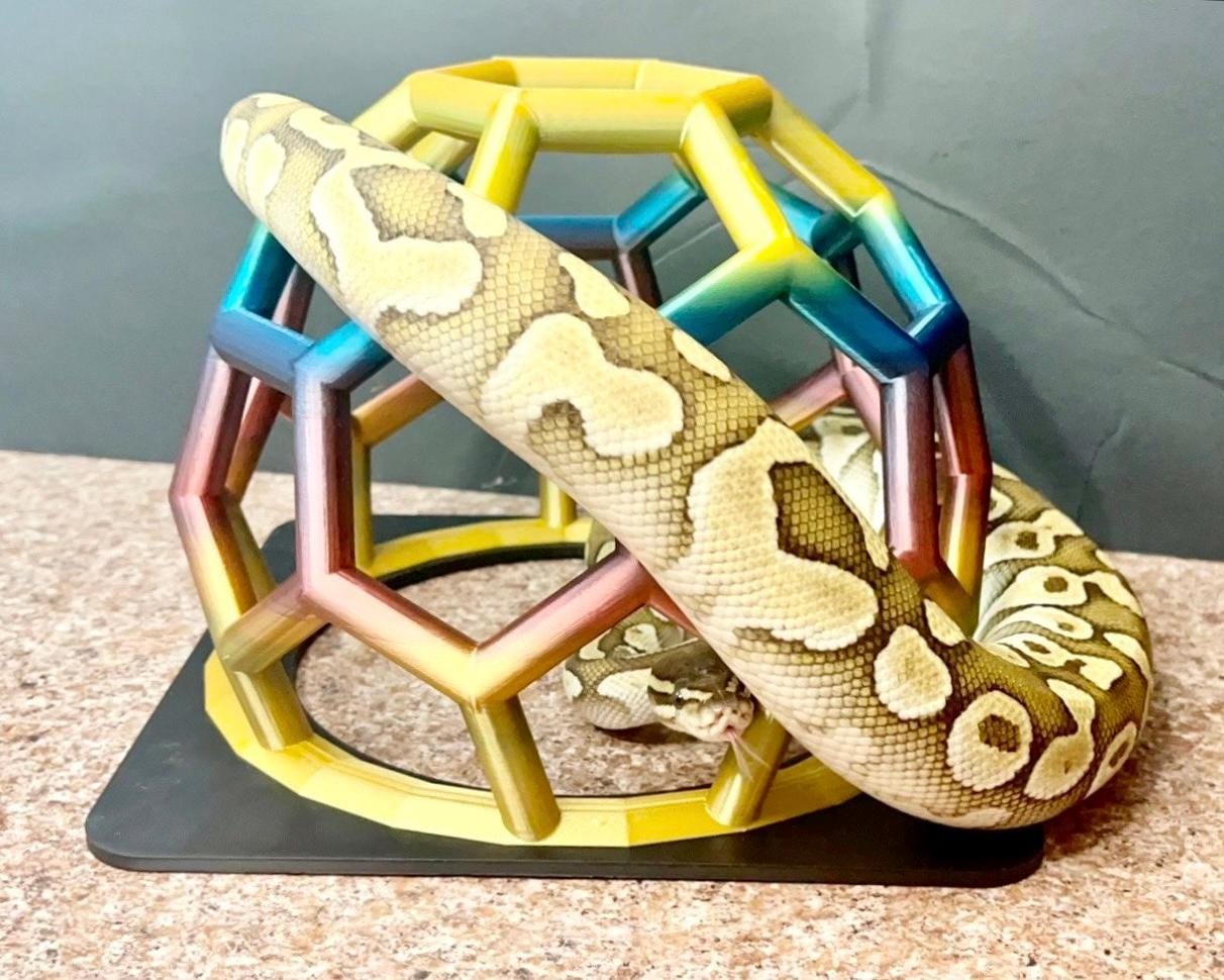 Why enrichment matters for reptiles