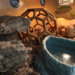 Python Playground EPIC Snake Climbing Enrichment, enriquecimiento para pitones bola adultas, gimnasio de jungla de serpientes grande imagen 6