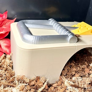 May include: A beige, arched-entryway structure with a silver metal trap and a yellow cheese wedge on top. A large red poinsettia flower is on the left. The base is covered in wood chips.